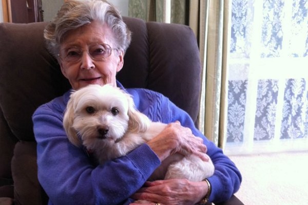 Puppy Power in Aged Care