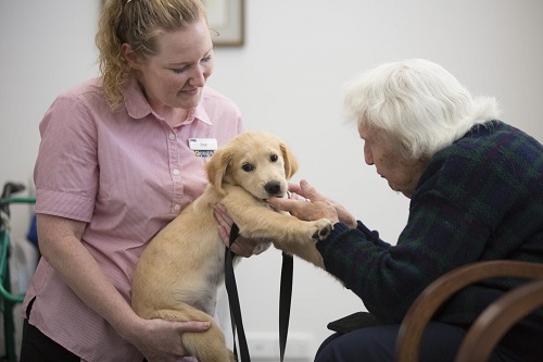 Animals Provide Companionship to Residents at Regis Aged Care