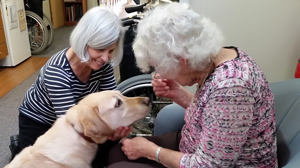 Canine Volunteer Brings Joy to Seniors