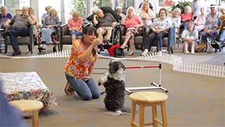 Annual Dog Show Enjoyed by All at Opal By The Bay