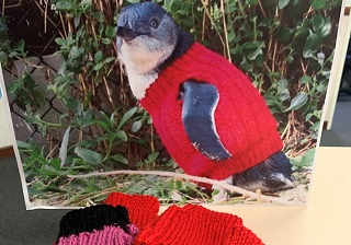 Penguin Jumpers Keep Audrey’s Knitting on Point