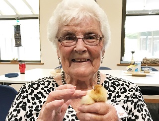 Henny Penny Brings Joy to Resthaven Clients