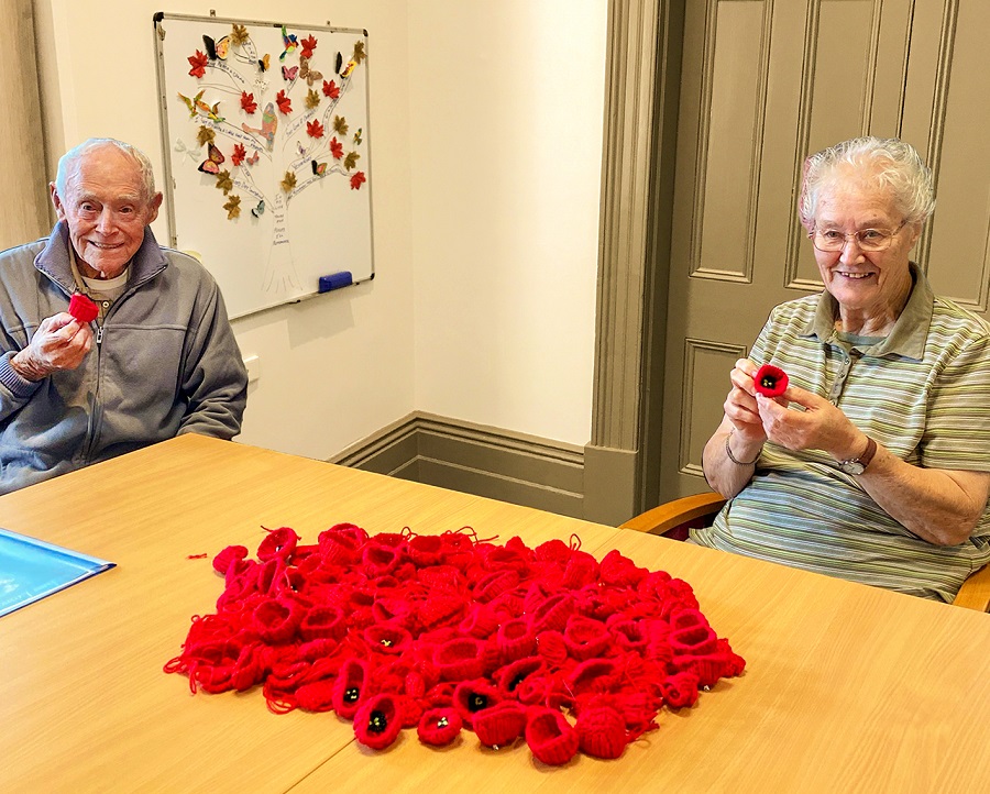 Poppy Power! 200 Knitted Poppies and Counting