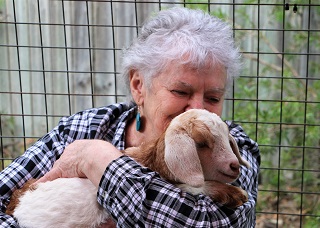 Old Macdonald Had a Farm: Baby Animals Spend Quality Time with Arcare North Lakes Residents