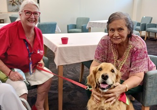 Seniors’ Part Time Pooch is Paw-fect
