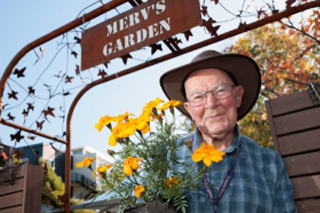 Retired Minister, 96, Transforms Aged Care Garden into a Colorful Oasis, Enriching Lives of Residents
