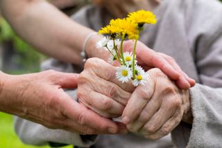 Top 10 Home Care Providers in Adelaide