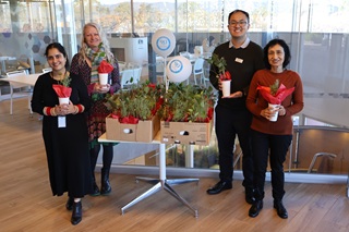 Celebrating 90 Years with 90 Trees