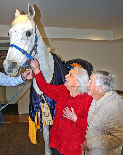 Colton Close Residents Delighted by Visit From Celebrity Horse 