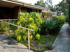 baptistcare-yallambee-village-5